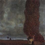 Gustav Klimt The Large poplar oil on canvas